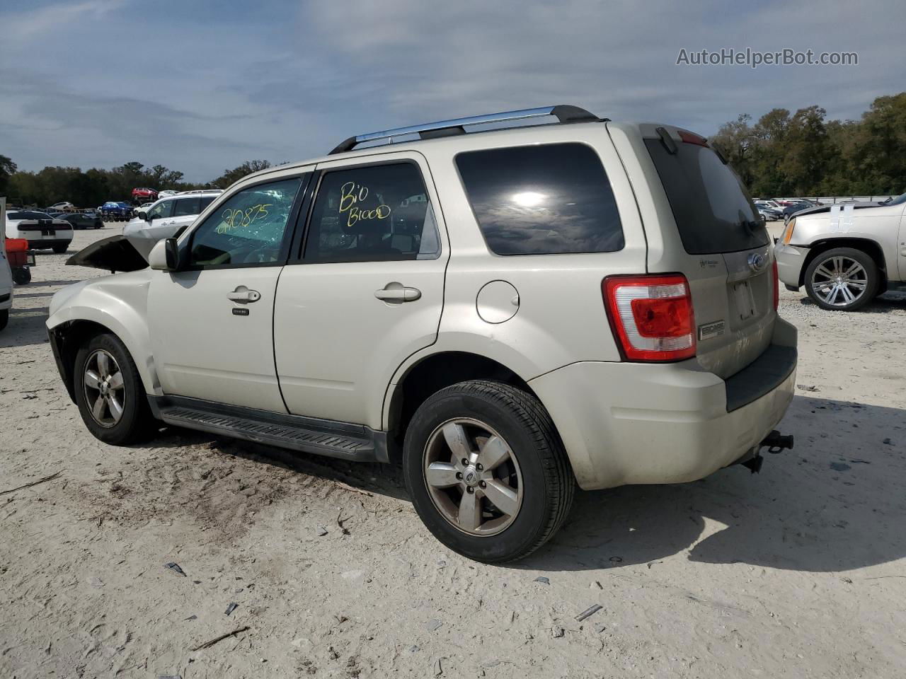 2009 Ford Escape Limited Beige vin: 1FMCU04G09KB14599