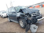 2009 Ford Escape Limited Серый vin: 1FMCU04G09KC30661