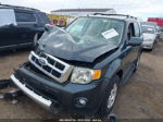 2009 Ford Escape Limited Серый vin: 1FMCU04G09KC30661