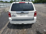 2009 Ford Escape Limited White vin: 1FMCU04G19KB01635