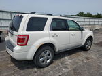 2009 Ford Escape Limited White vin: 1FMCU04G19KB01635