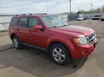 2009 Ford Escape Limited Бордовый vin: 1FMCU04G29KA19929