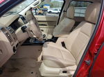 2009 Ford Escape Limited Бордовый vin: 1FMCU04G29KA19929