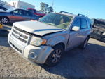 2009 Ford Escape Limited Gray vin: 1FMCU04G39KA63843