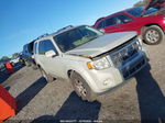 2009 Ford Escape Limited Gray vin: 1FMCU04G39KA63843