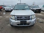 2009 Ford Escape Limited Серый vin: 1FMCU04G39KB47502