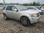 2009 Ford Escape Limited Silver vin: 1FMCU04G49KC02698