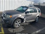 2009 Ford Escape Limited Gray vin: 1FMCU04G49KD13929