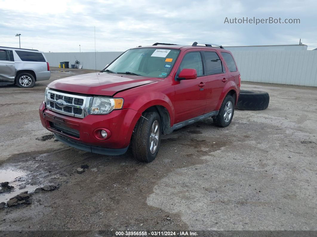 2009 Ford Escape Limited Red vin: 1FMCU04G59KA44484