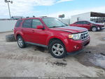 2009 Ford Escape Limited Red vin: 1FMCU04G59KA44484