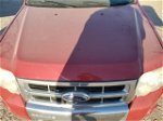 2009 Ford Escape Limited Maroon vin: 1FMCU04G59KC67608
