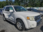 2009 Ford Escape Limited White vin: 1FMCU04G69KA53873