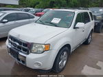 2009 Ford Escape Limited White vin: 1FMCU04G69KB78890