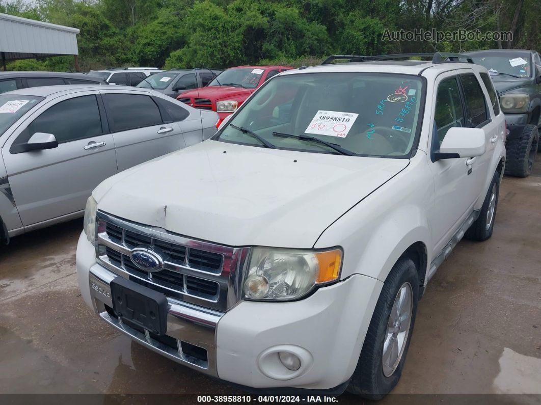 2009 Ford Escape Limited White vin: 1FMCU04G69KB78890