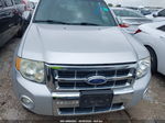 2009 Ford Escape Limited Silver vin: 1FMCU04G79KA18906