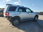 2009 Ford Escape Limited Silver vin: 1FMCU04G79KA63585