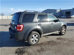 2009 Ford Escape Limited Green vin: 1FMCU04G89KB78700