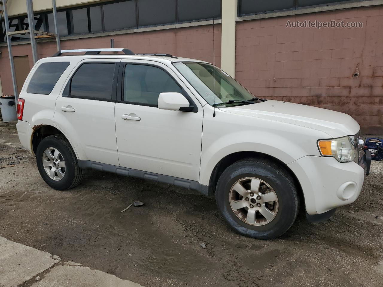 2009 Ford Escape Limited White vin: 1FMCU04G89KD14047