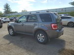 2009 Ford Escape Limited Gray vin: 1FMCU04G99KA64950