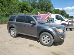 2009 Ford Escape Limited Gray vin: 1FMCU04G99KA64950