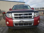 2009 Ford Escape Limited Красный vin: 1FMCU04G99KC04771