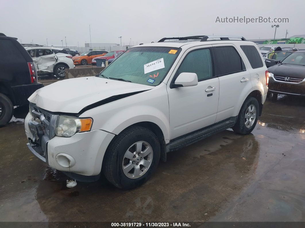 2009 Ford Escape Limited White vin: 1FMCU04GX9KB70971