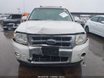 2009 Ford Escape Limited Белый vin: 1FMCU04GX9KB70971