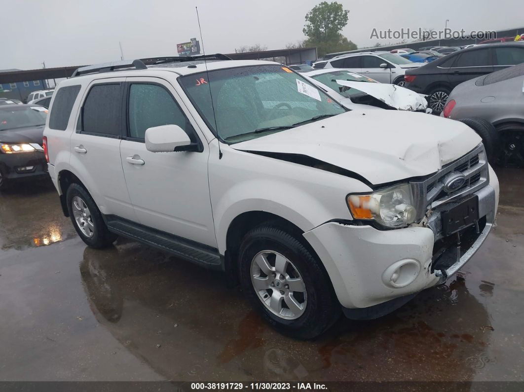 2009 Ford Escape Limited White vin: 1FMCU04GX9KB70971