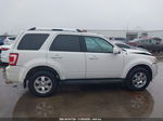 2009 Ford Escape Limited White vin: 1FMCU04GX9KB70971