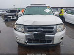 2009 Ford Escape Limited Белый vin: 1FMCU04GX9KB70971