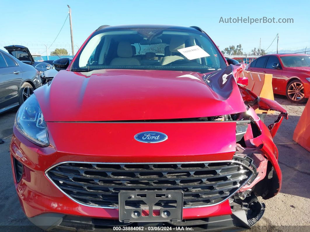 2021 Ford Escape Se Hybrid Red vin: 1FMCU0BZ2MUB17361