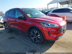 2021 Ford Escape Se Hybrid Red vin: 1FMCU0BZ2MUB17361