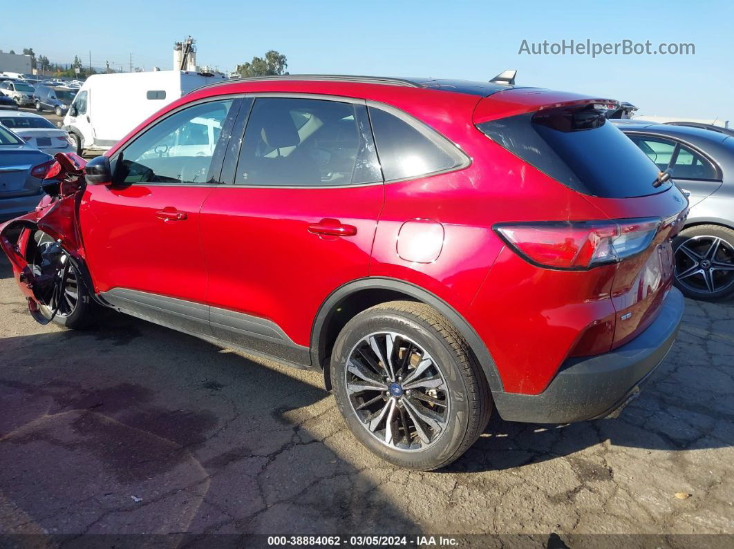 2021 Ford Escape Se Hybrid Red vin: 1FMCU0BZ2MUB17361