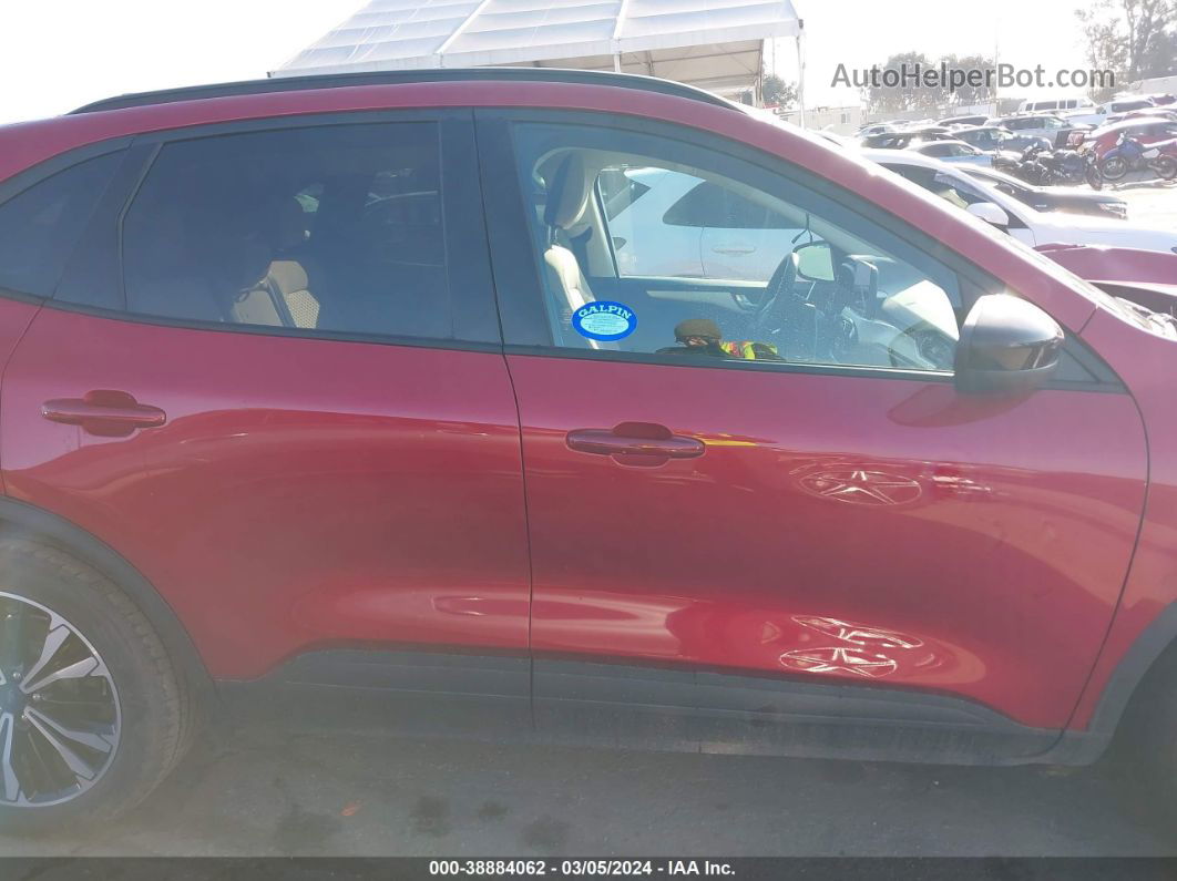 2021 Ford Escape Se Hybrid Red vin: 1FMCU0BZ2MUB17361