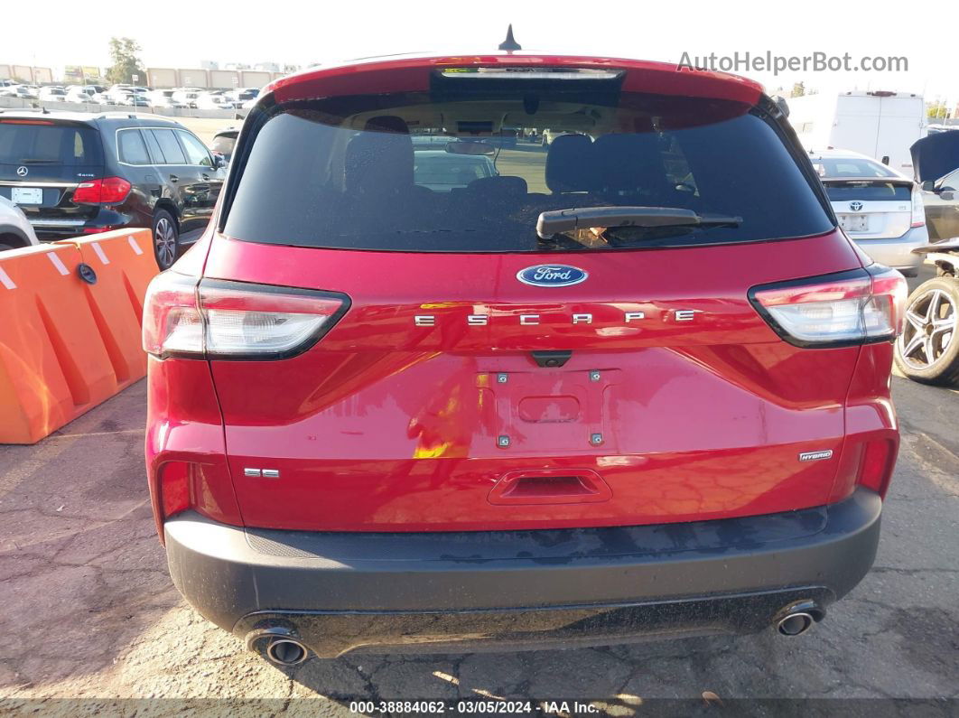 2021 Ford Escape Se Hybrid Red vin: 1FMCU0BZ2MUB17361