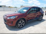 2021 Ford Escape Se Hybrid Бордовый vin: 1FMCU0BZ3MUA93524