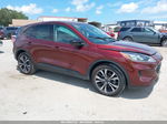 2021 Ford Escape Se Hybrid Burgundy vin: 1FMCU0BZ3MUA93524