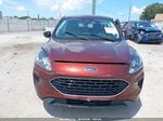 2021 Ford Escape Se Hybrid Бордовый vin: 1FMCU0BZ3MUA93524