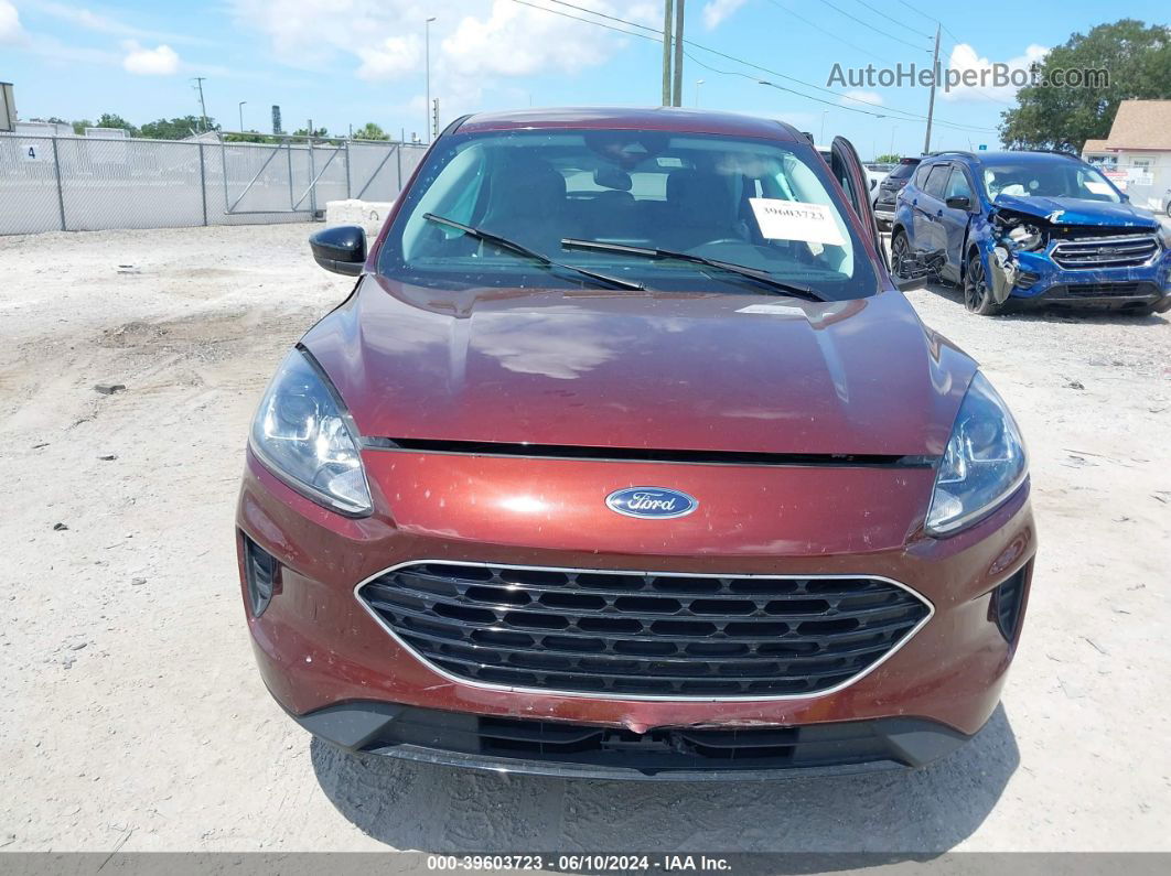 2021 Ford Escape Se Hybrid Burgundy vin: 1FMCU0BZ3MUA93524