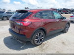 2021 Ford Escape Se Hybrid Бордовый vin: 1FMCU0BZ3MUA93524