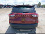 2021 Ford Escape Se Hybrid Бордовый vin: 1FMCU0BZ3MUA93524