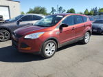 2014 Ford Escape S Красный vin: 1FMCU0F71EUC70193