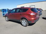 2014 Ford Escape S Красный vin: 1FMCU0F71EUC70193