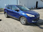 2014 Ford Escape S Синий vin: 1FMCU0F71EUD02897