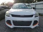 2014 Ford Escape S White vin: 1FMCU0F71EUD56166