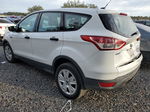 2014 Ford Escape S Белый vin: 1FMCU0F71EUD56166