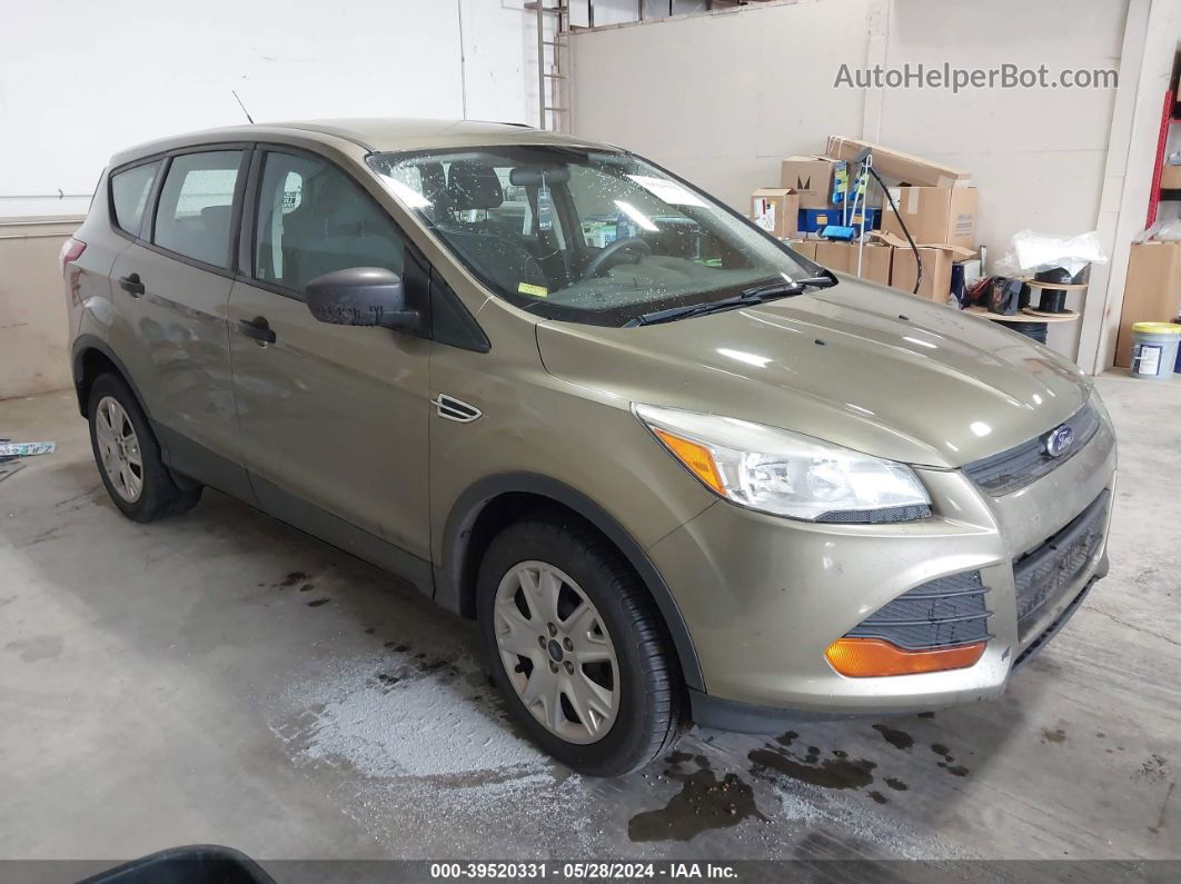 2013 Ford Escape S Зеленый vin: 1FMCU0F72DUD24342