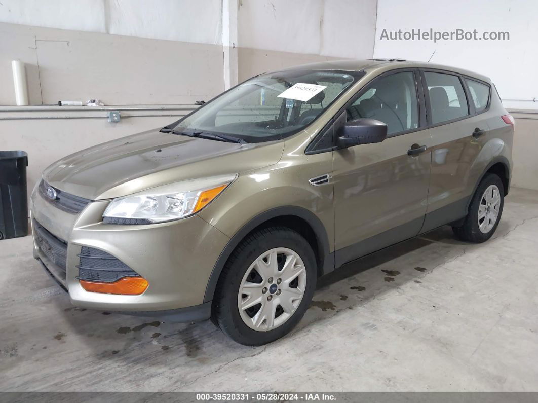 2013 Ford Escape S Зеленый vin: 1FMCU0F72DUD24342