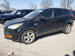 2016 Ford Escape S Black vin: 1FMCU0F72GUA32890