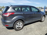 2016 Ford Escape S Gray vin: 1FMCU0F72GUB39065